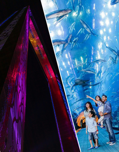 Dubai Aquarium & Dubai Frame - Combo Tickets