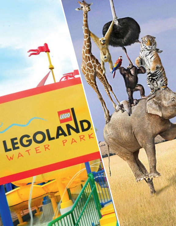 Combo: LEGOLAND® Water Park + Free Dubai Safari Park Tickets