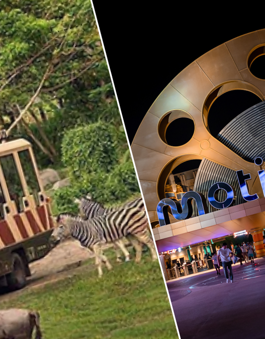 Combo: MOTIONGATE™ Dubai + Free Dubai Safari Park Tickets