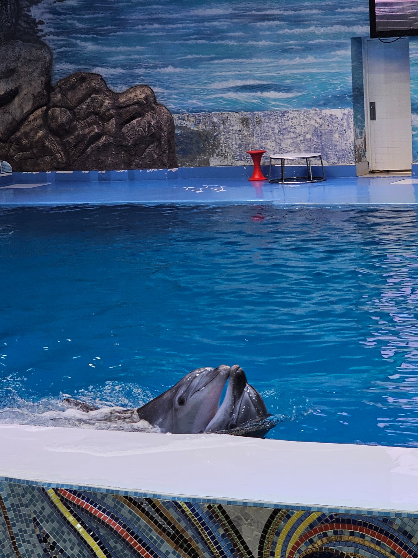 Dubai Dolphinarium Tickets