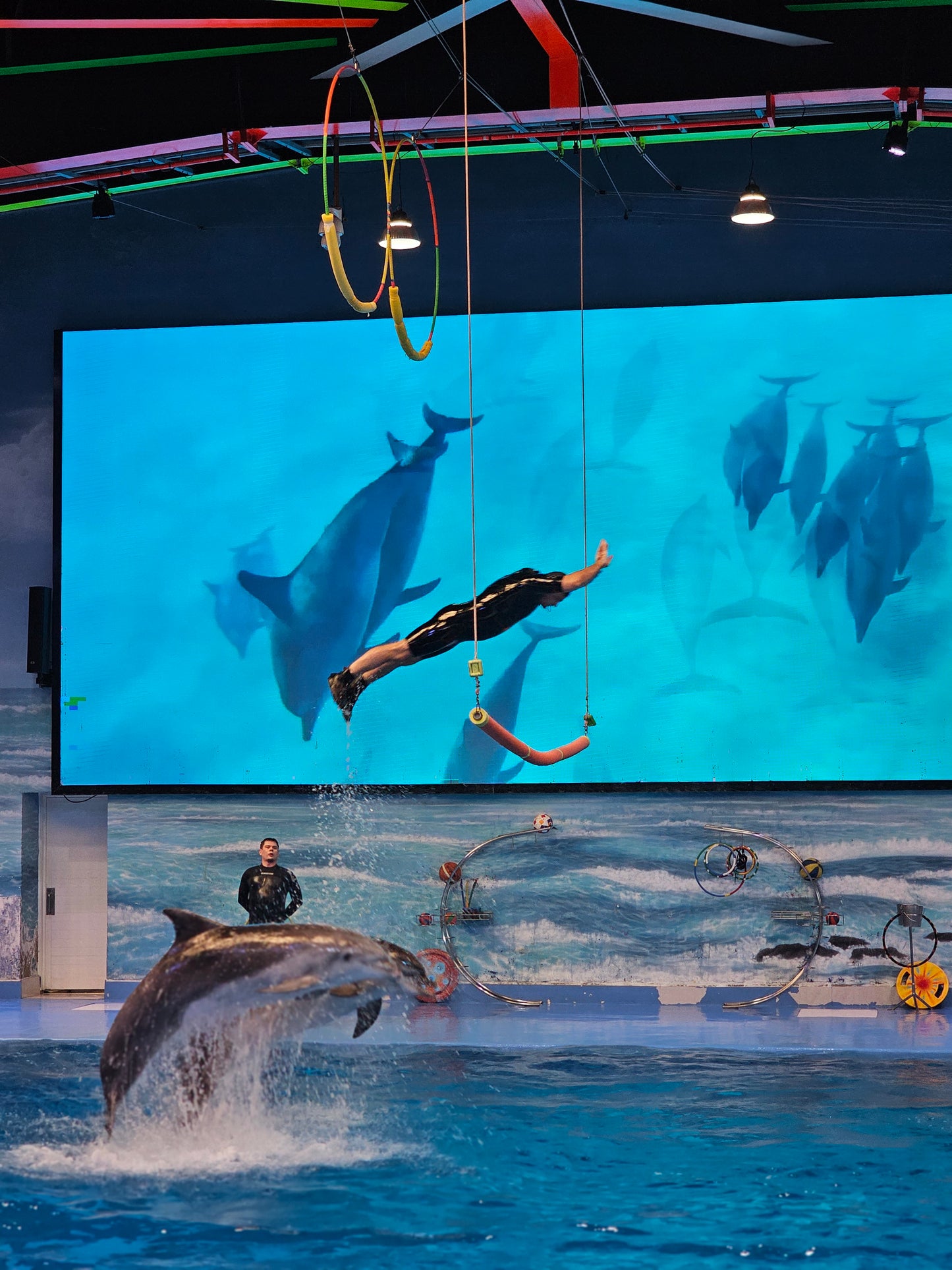 Dubai Dolphinarium Tickets