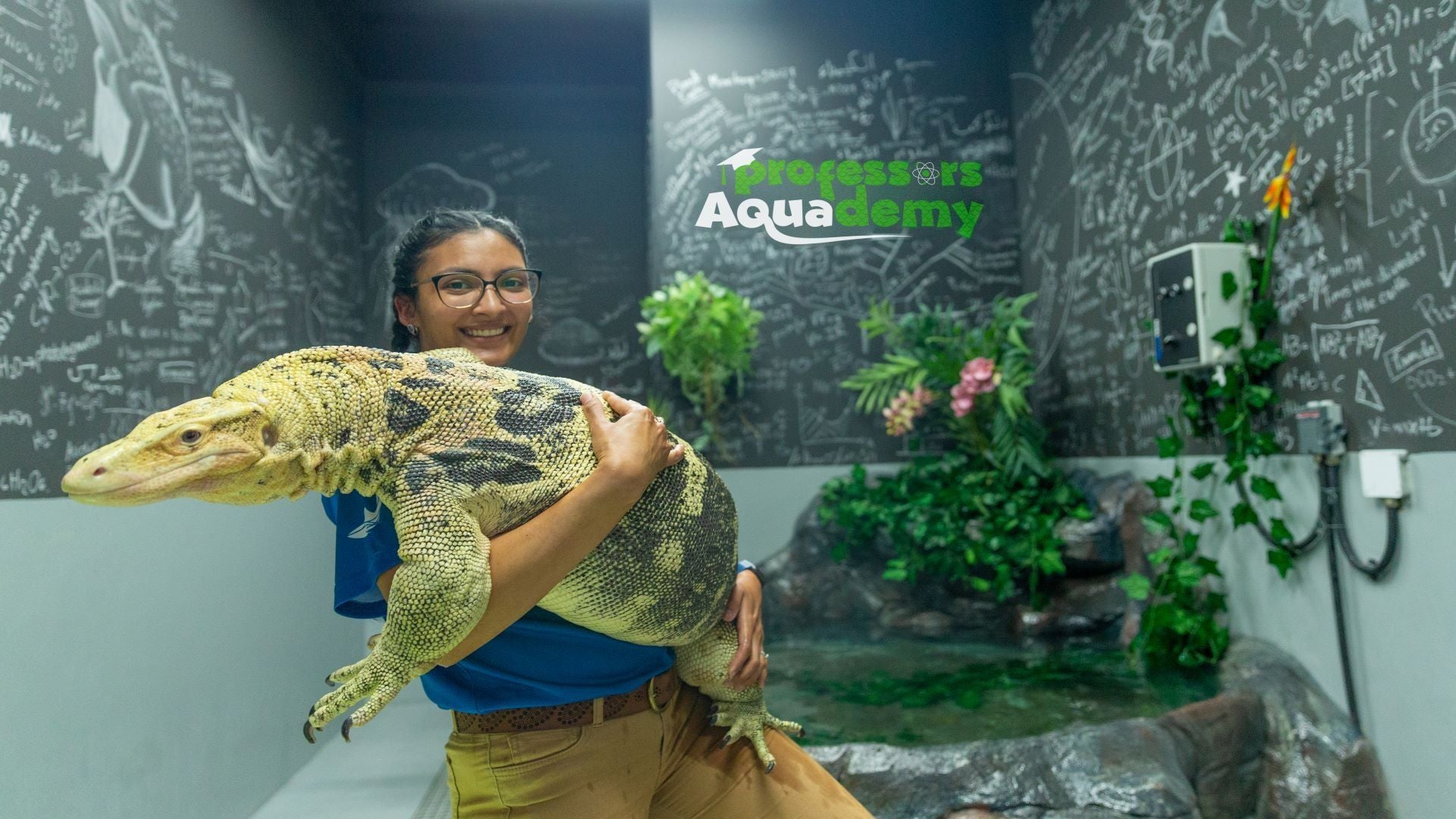 Animal Encounter - National Aquarium Abu Dhabi