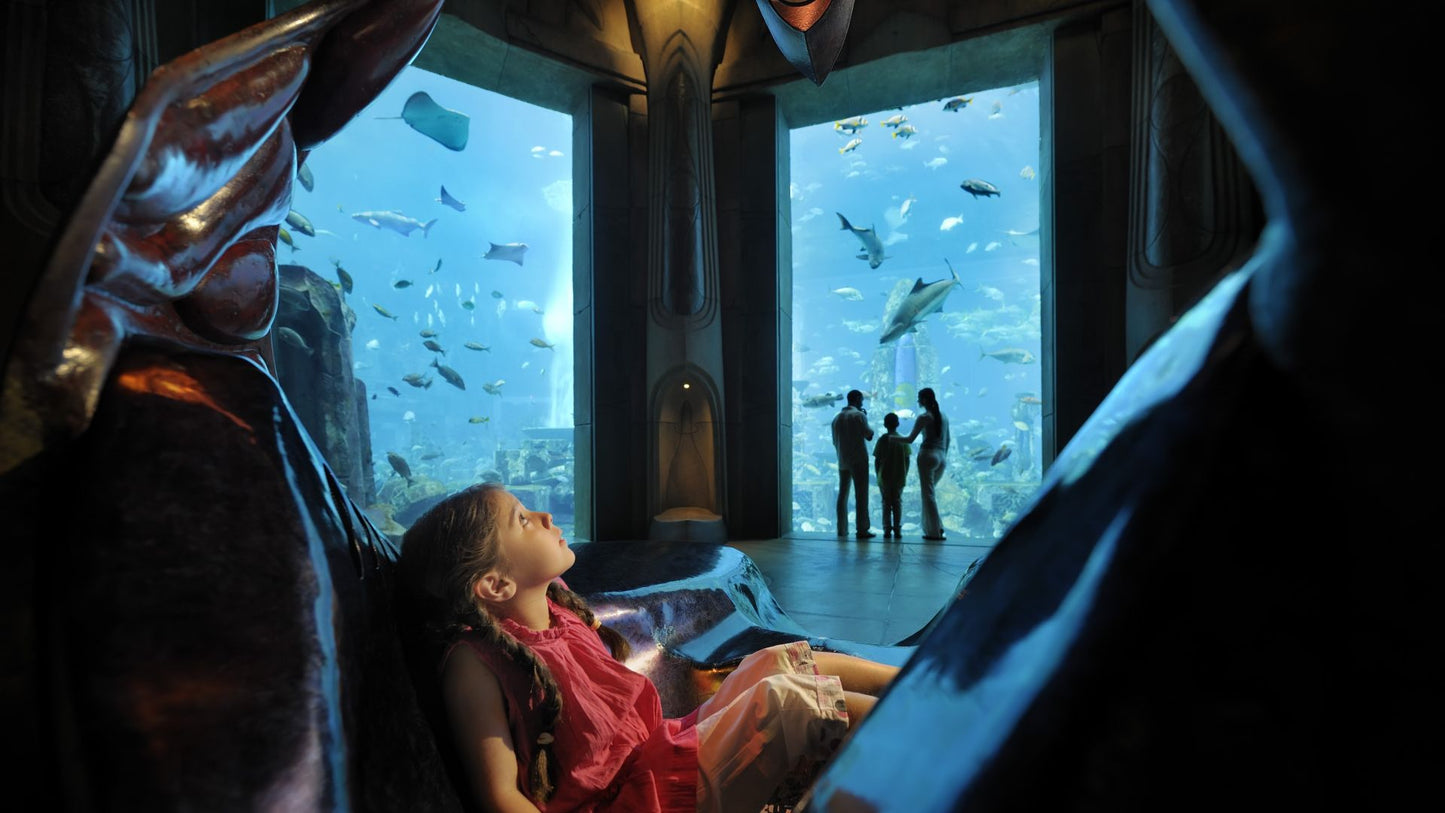 Dbai Lost Chamber Aquarium Exhibits