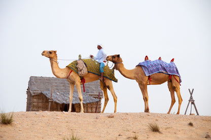 Al Khayma Camp sandboarding experience 