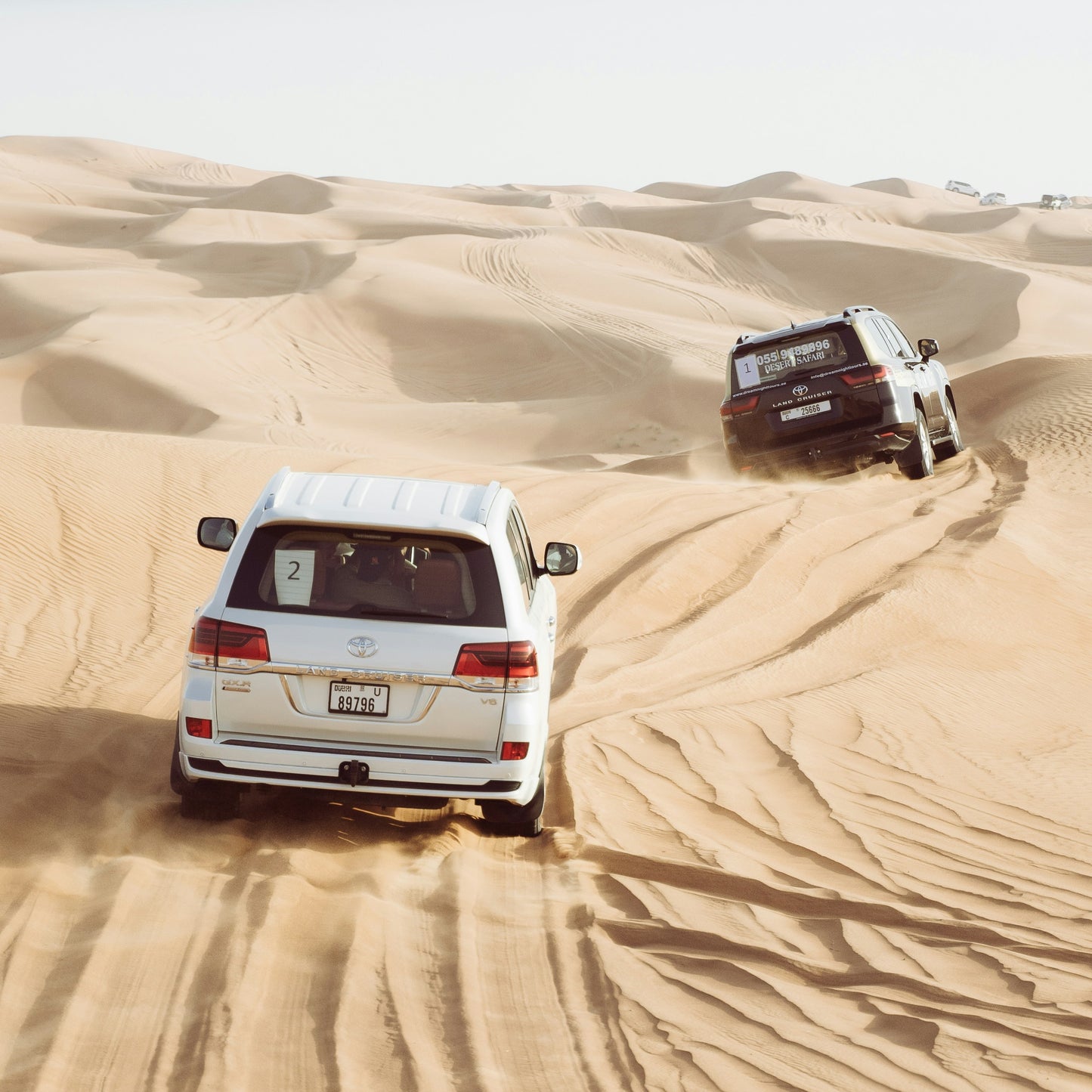 Desert safari dune bashing