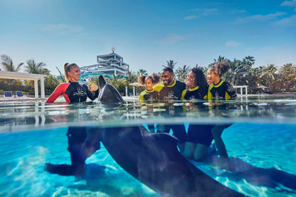 Dolphin_Experience_Aquaventure_Dubai