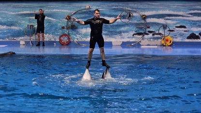 Dolphin Show Dubai