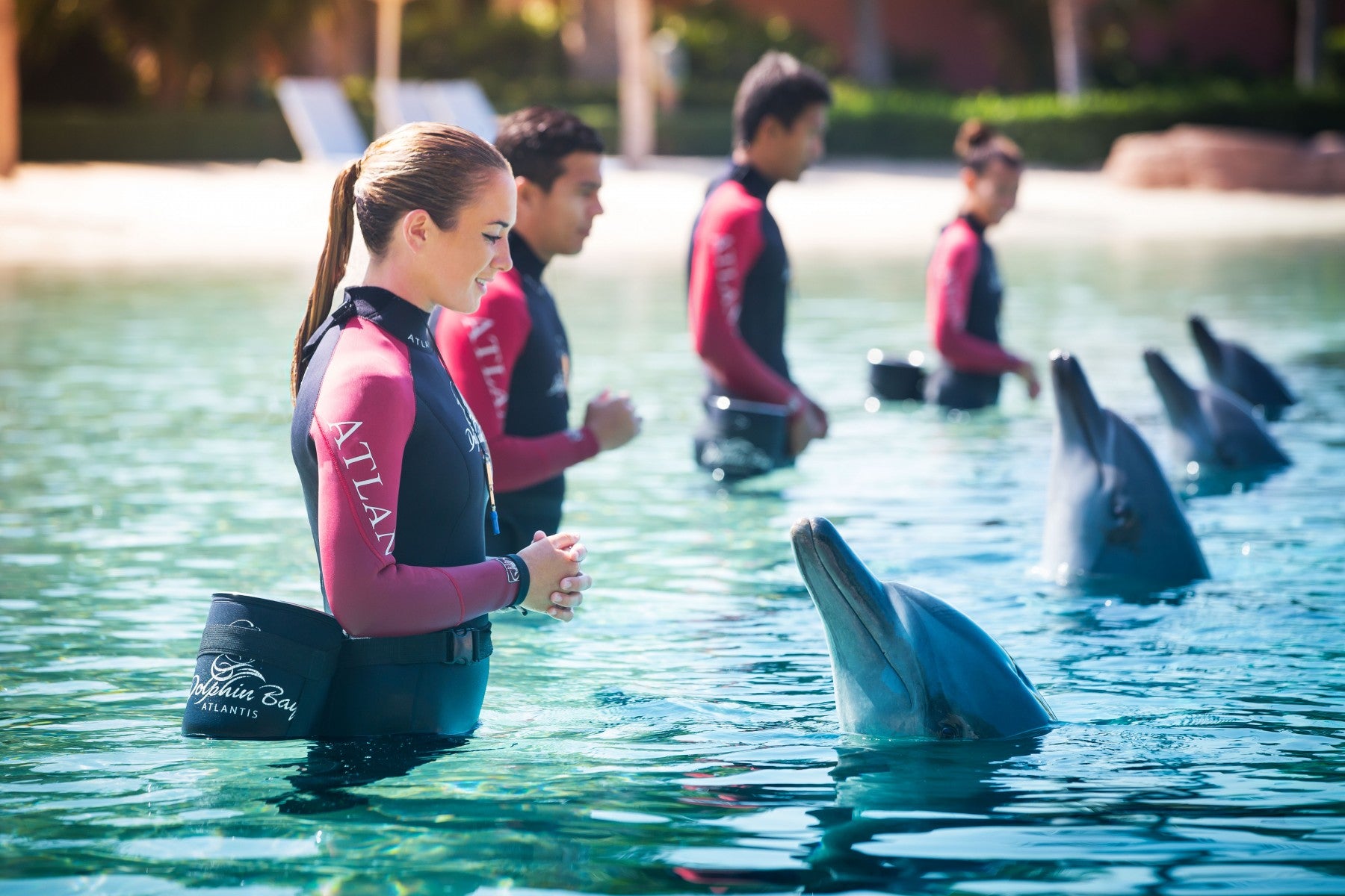 Dolphin_meet_and_greet_Aquaventure