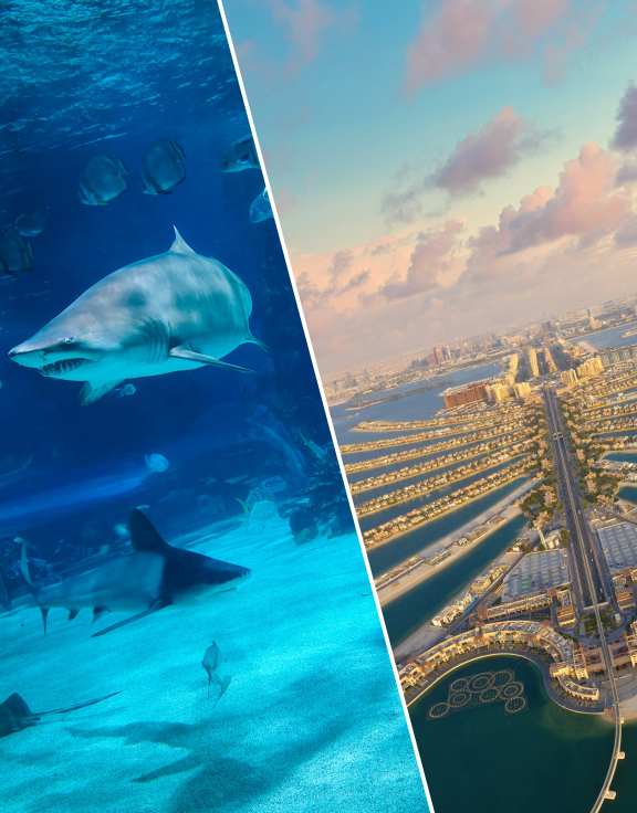 DubaiAquarium and ViewAtThePalm combo