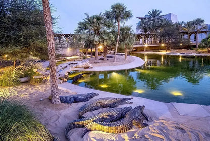 Dubai Crocodile Park Dubai