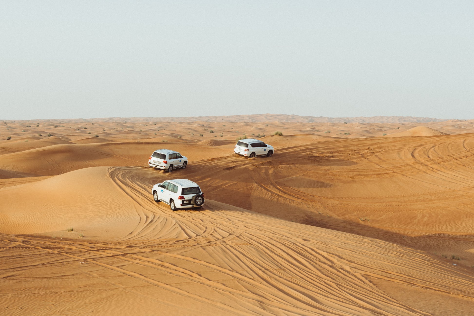 Dubai Desert Safari activities