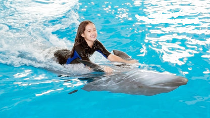 Dolphinarium dubai dolphin show