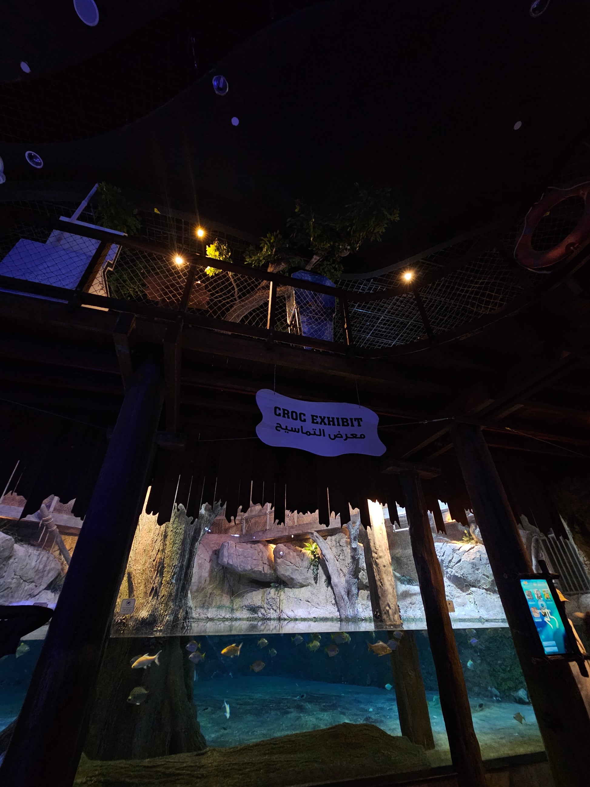 Dubai aquarium & underwaterzoo ticket price        