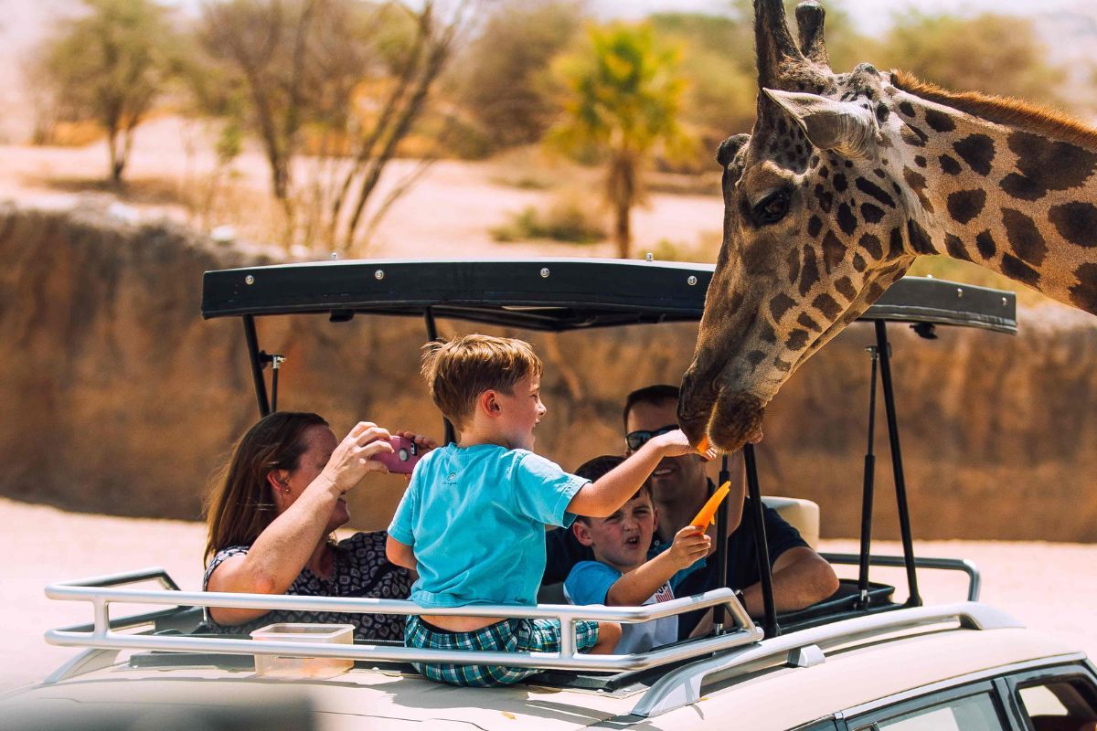 Dubai Safari Park with Safari Journey Tickets