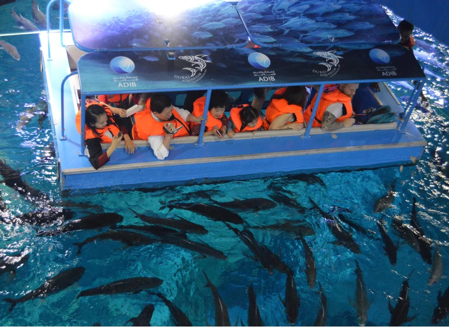 Glass Bottom Boat Ride Dubai Aquarium