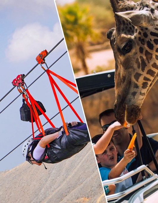 Combo: Jebel Jais Sky Tour + Free Dubai Safari Park Tickets