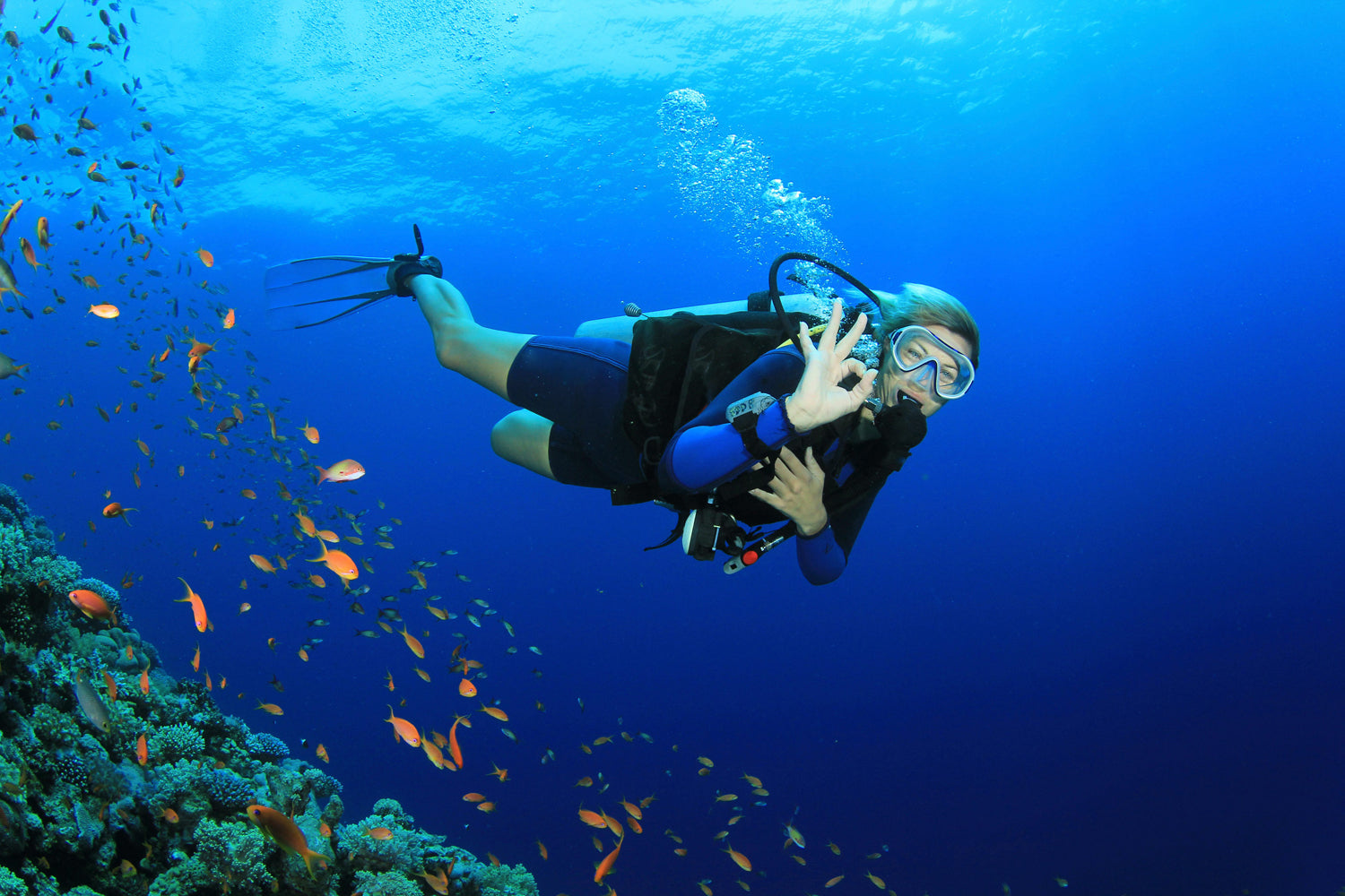 Scuba diving in UAE
