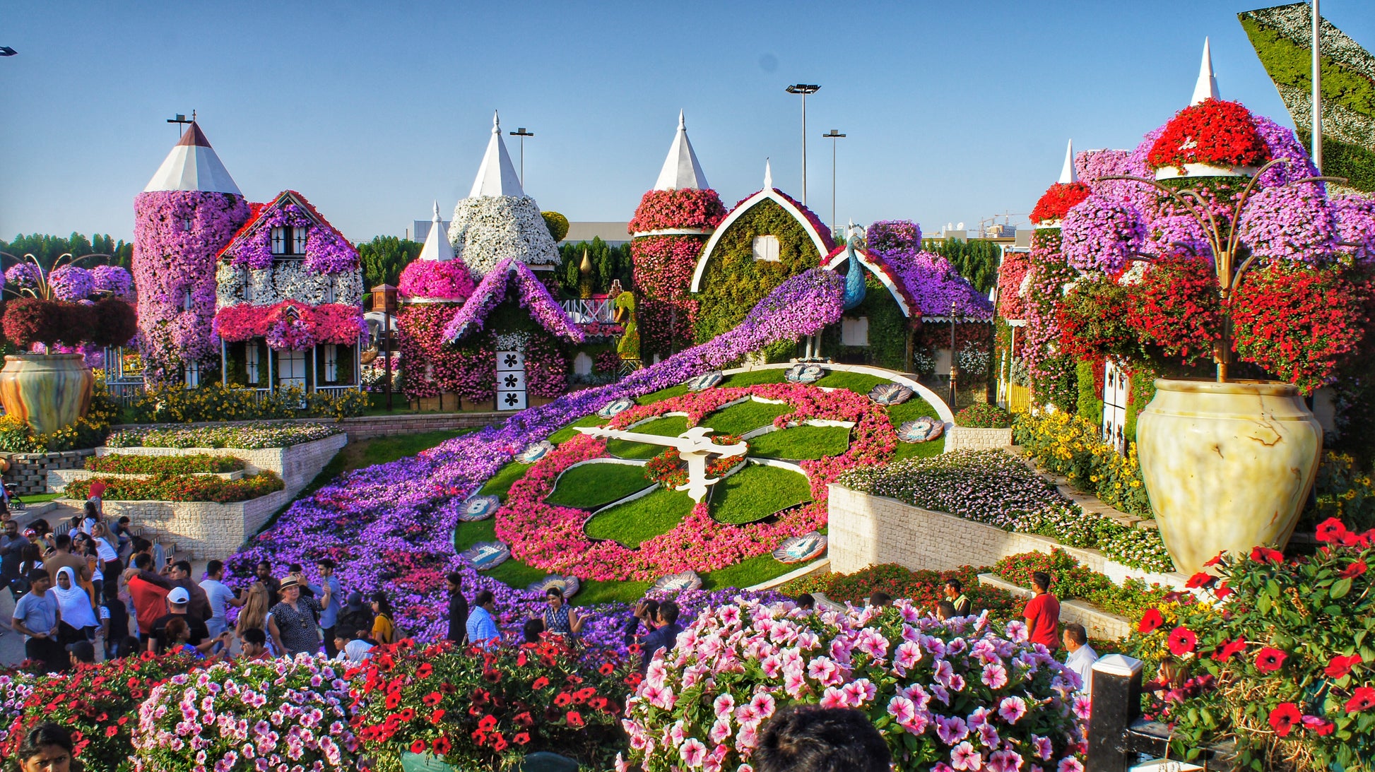 Miracle Garden Dubai Tours Tickets