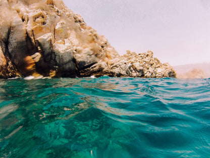 Musandam Dibba Coral Reef