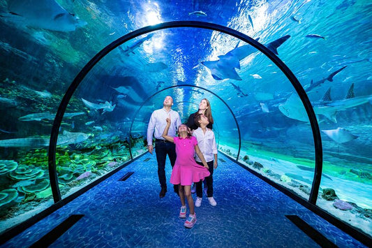 National aquarium Abu Dhabi tour
