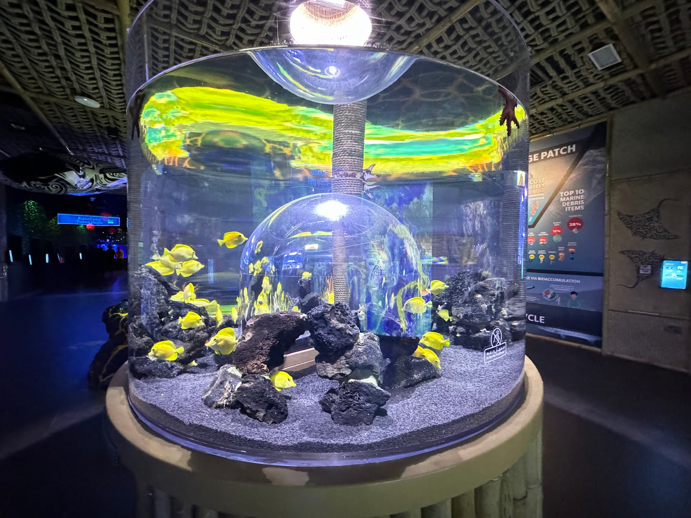 National Aquarium inside displays