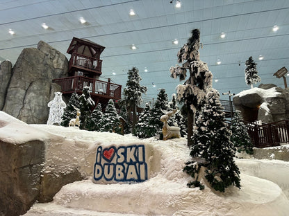 SkiDubai - Inside View