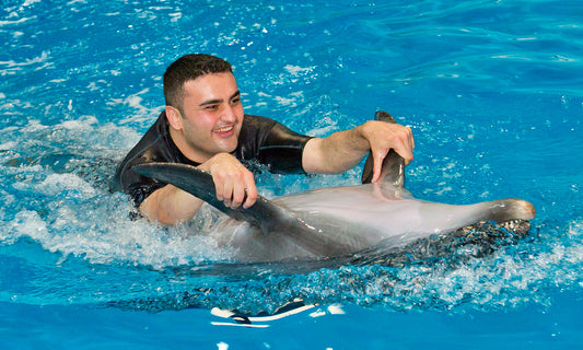 Dubai Dolphinarium Swim with Dolphins
