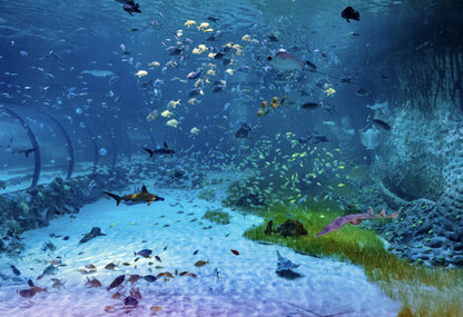 The-National-Aquarium-Abu-Dhabi