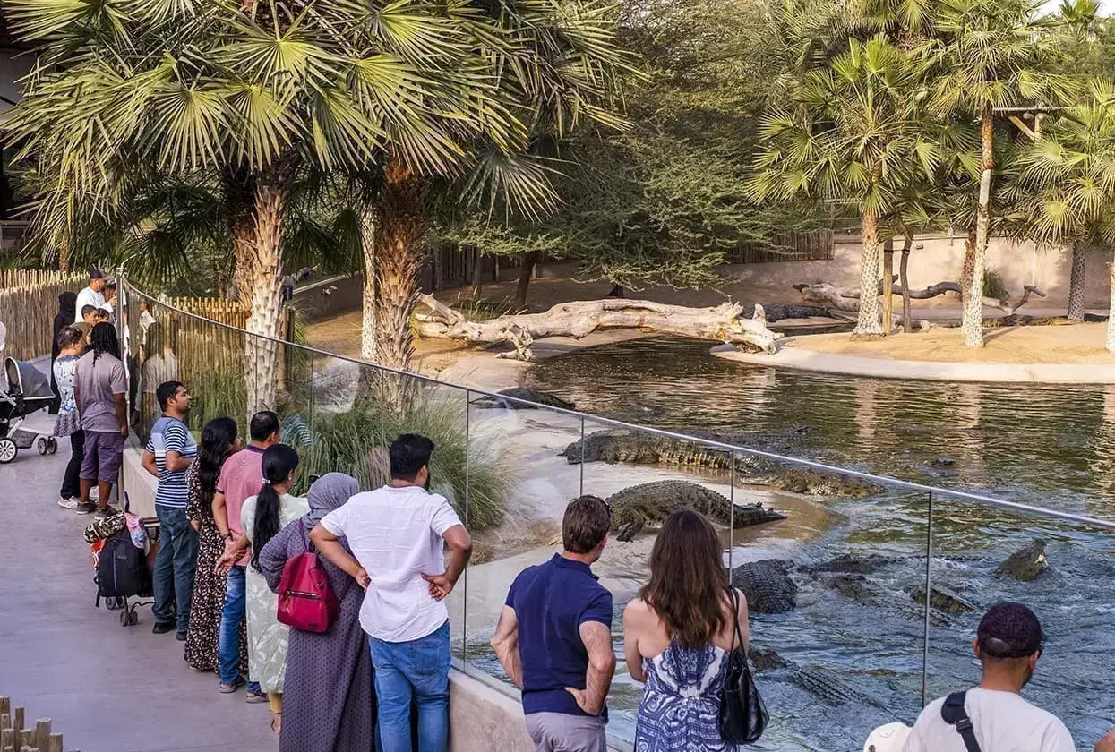 Visiting Dubai Crocodile Park