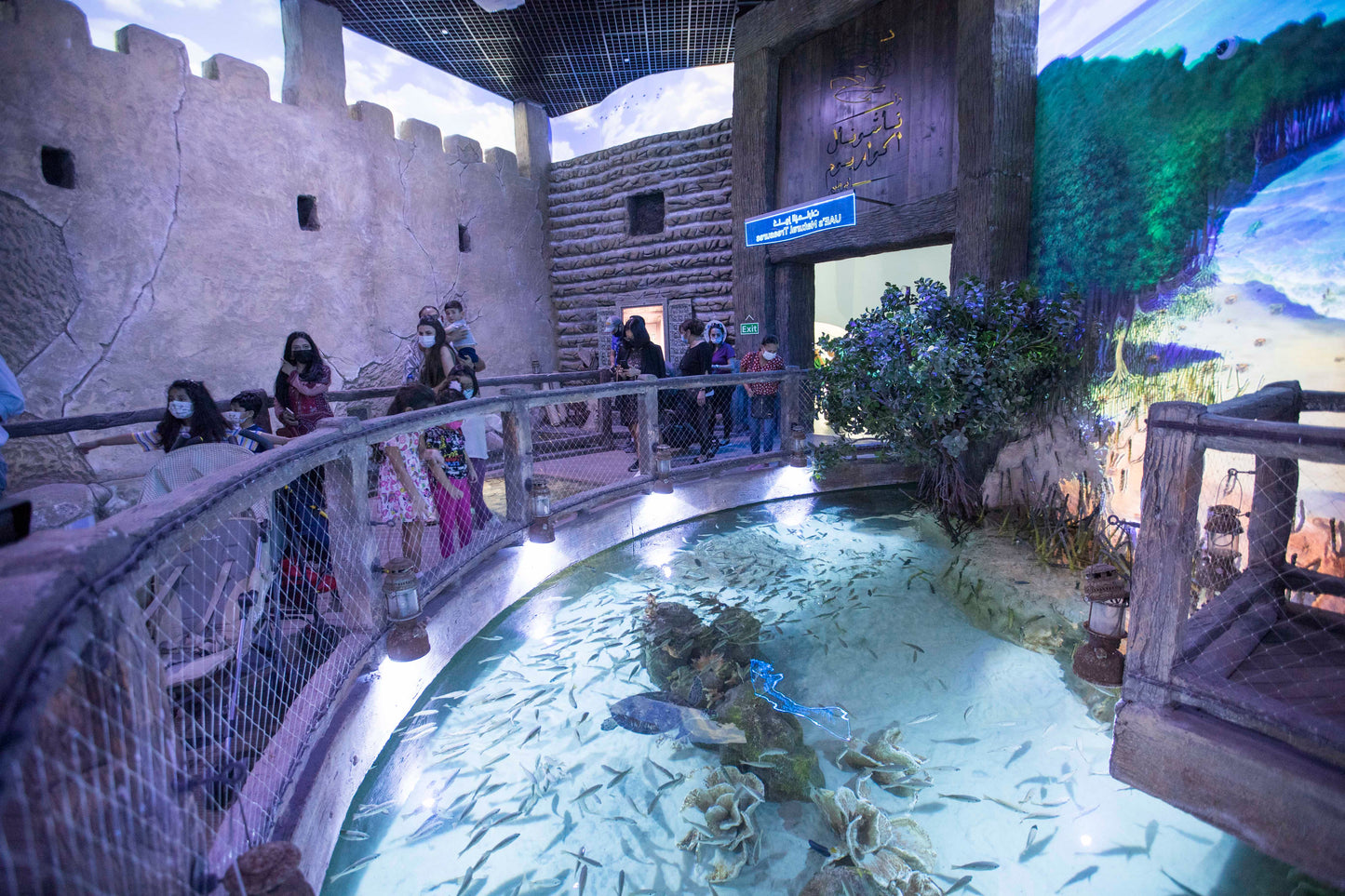 abudhabi national aquarium 