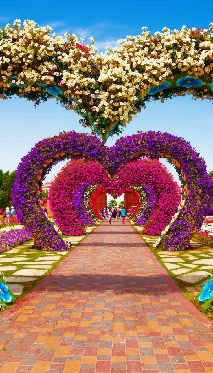 Combo: IMG Worlds of Adventure + Dubai Miracle Garden Tickets