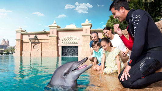 Dolphin meet and greet Atlantis tickets