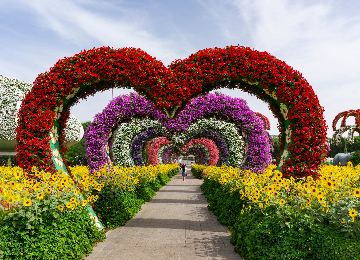 Combo: IMG Worlds of Adventure + Dubai Miracle Garden Tickets