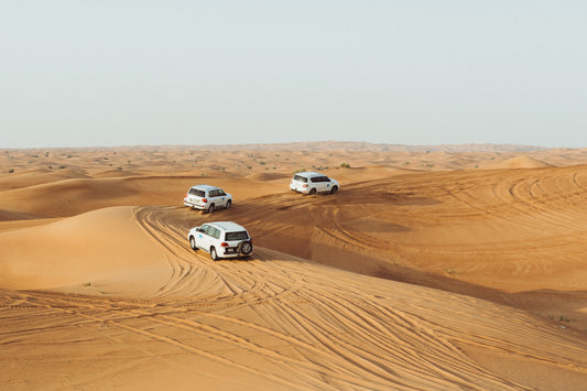 Deluxe Red Dunes Desert Safari in Dubai