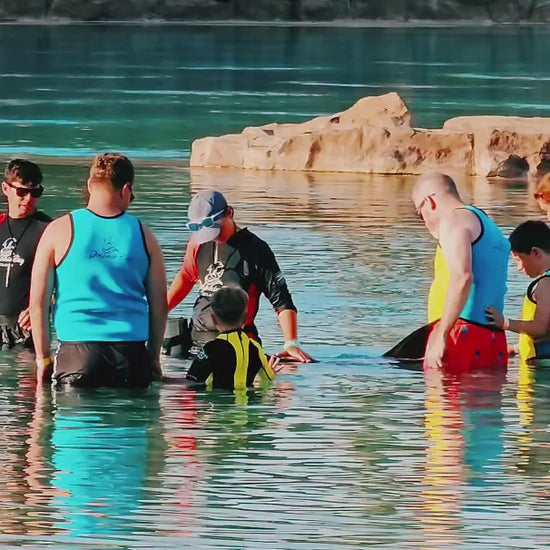 Dolphin meet and greet Aquaventure