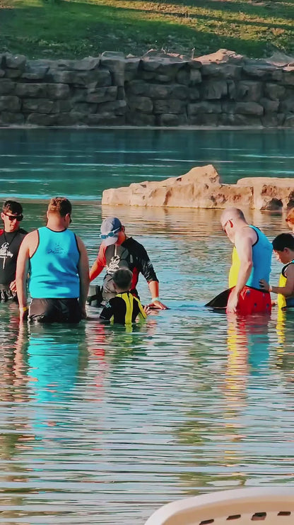 Dolphin meet and greet Aquaventure