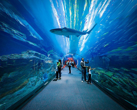 Underwater zoo & Dubai Aquarium Tickets